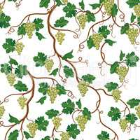 Floral pattern with grape branch. Wineyard seamless wallpaper. G