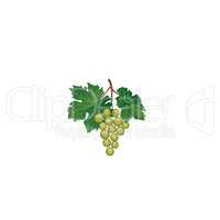 Grape bunch with leaves. Floral wine retro sign. Garden backgrou