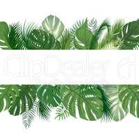 Floral seamless pattern. Tropical leaves background. Palm tree l