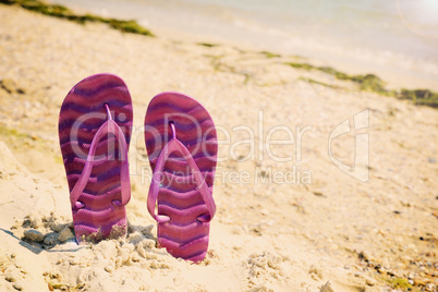 Purple beach slippers on the beach