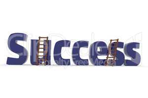 3d concept with the word Success