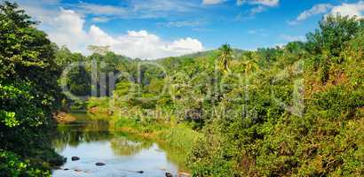 Tropical forest on banks of river and blue sky