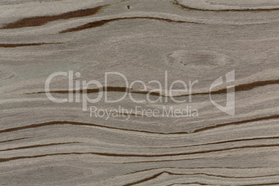 Unique gray wood design texture. Natural background closeup.