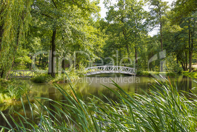 waldsee