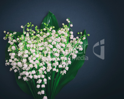 Bouquet of white blossoming lilies of the valley