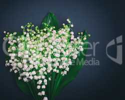 Bouquet of white blossoming lilies of the valley