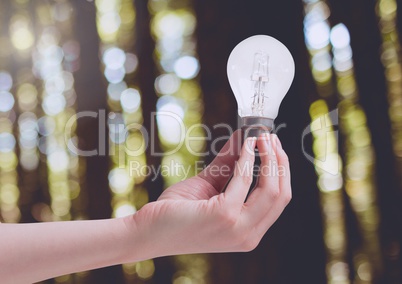 Hand holding light bulb in green nature forest