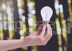 Hand holding light bulb in green nature forest