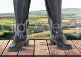 Wellington boots standing on wood in front of nature green landscape