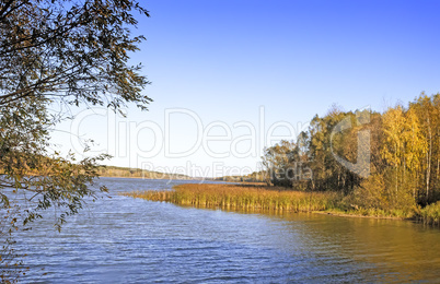 The autumn wood on the bank of the big beautiful lake