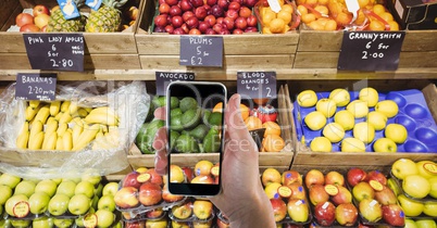 Cropped image of hand photographing various fruits for sale through smart phone