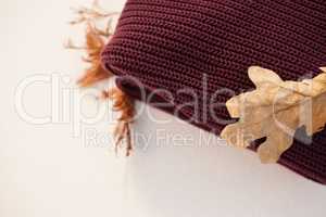 Woolen cloth with autumn leaves