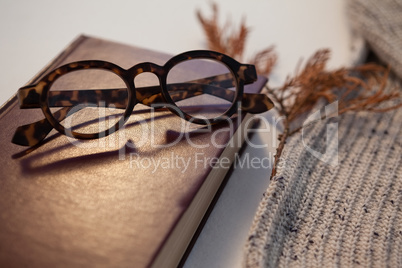 Woolen cloth with diary and spectacles