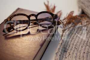Woolen cloth with diary and spectacles