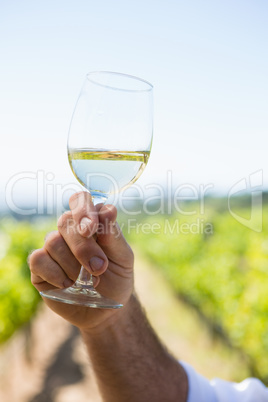 Vintner holding glass of wine