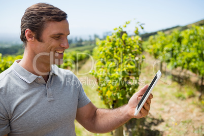 Vintner using digital tablet in vineyard