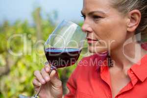 Female vintner smelling glass of wine