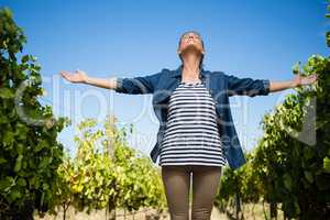 Beautiful vintner standing with arms outstretched in vineyard