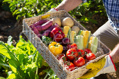 Mid section of man holding a basket of fresh vegetables