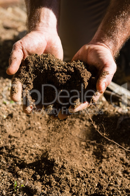 Man holding soil in garden