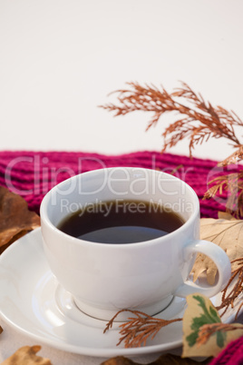 Cup of black tea with autumn leaves and woolen cloth