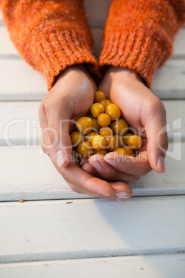 Hand of woman holding autumn berries