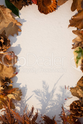 Autumn leaves arranged on white background