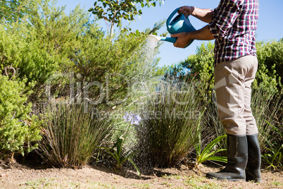 Man watering plants with watering can in garden