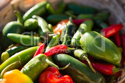 Various fresh vegetables in wicker basket