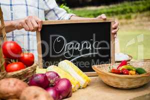 Mid section of woman holding slate with text at vegetable stall