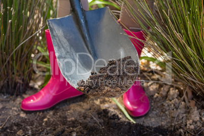 Low section of woman digging soil with shovel in garden