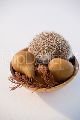 Pears fruits and porcupine in bowl