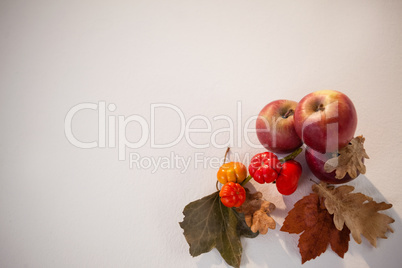 Close-up of red apples and surinam cherry with autumn leaves