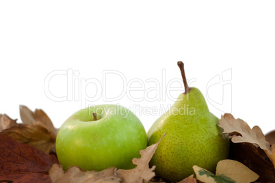 Close-up of pears with autumn leaves