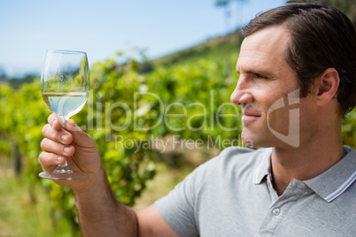Smiling vintner examining glass of wine