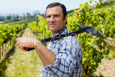 Portrait of vintner standing with shovel in vineyard