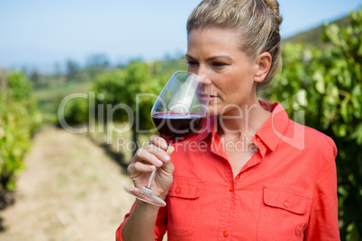 Female vintner smelling glass of wine