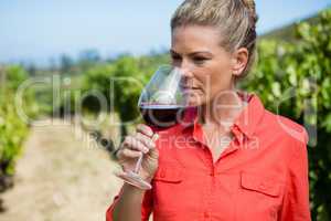 Female vintner smelling glass of wine