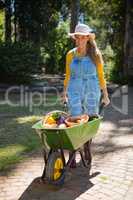 Happy woman holding fresh vegetables in wheelbarrow