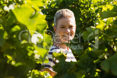 Portrait of female vintner standing in vineyard