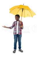 Boy standing under a yellow umbrella and gesturing