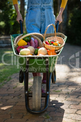 Woman holding fresh vegetables in wheelbarrow