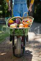 Woman holding fresh vegetables in wheelbarrow