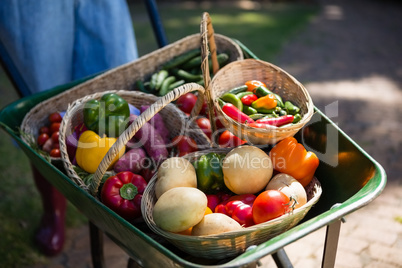 Various fresh vegetables in wheelbarrow