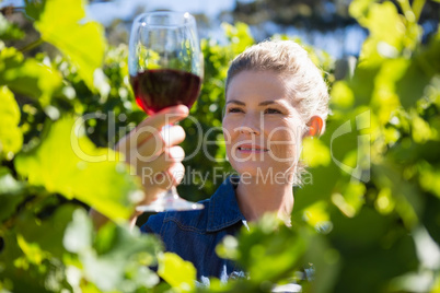 Female vintner examining glass of wine in vineyard