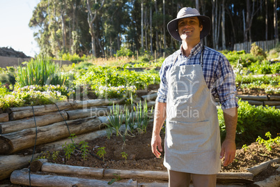 Smiling farmer standing in vineyard