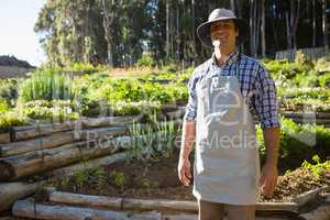 Smiling farmer standing in vineyard