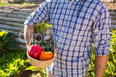 Mid section of man holding a basket of fresh vegetables