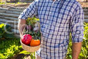 Mid section of man holding a basket of fresh vegetables