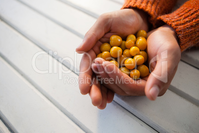 Hand of woman holding autumn berries